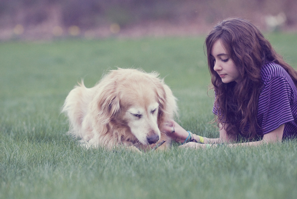 Barnaby Finch Golden Retriever Winston