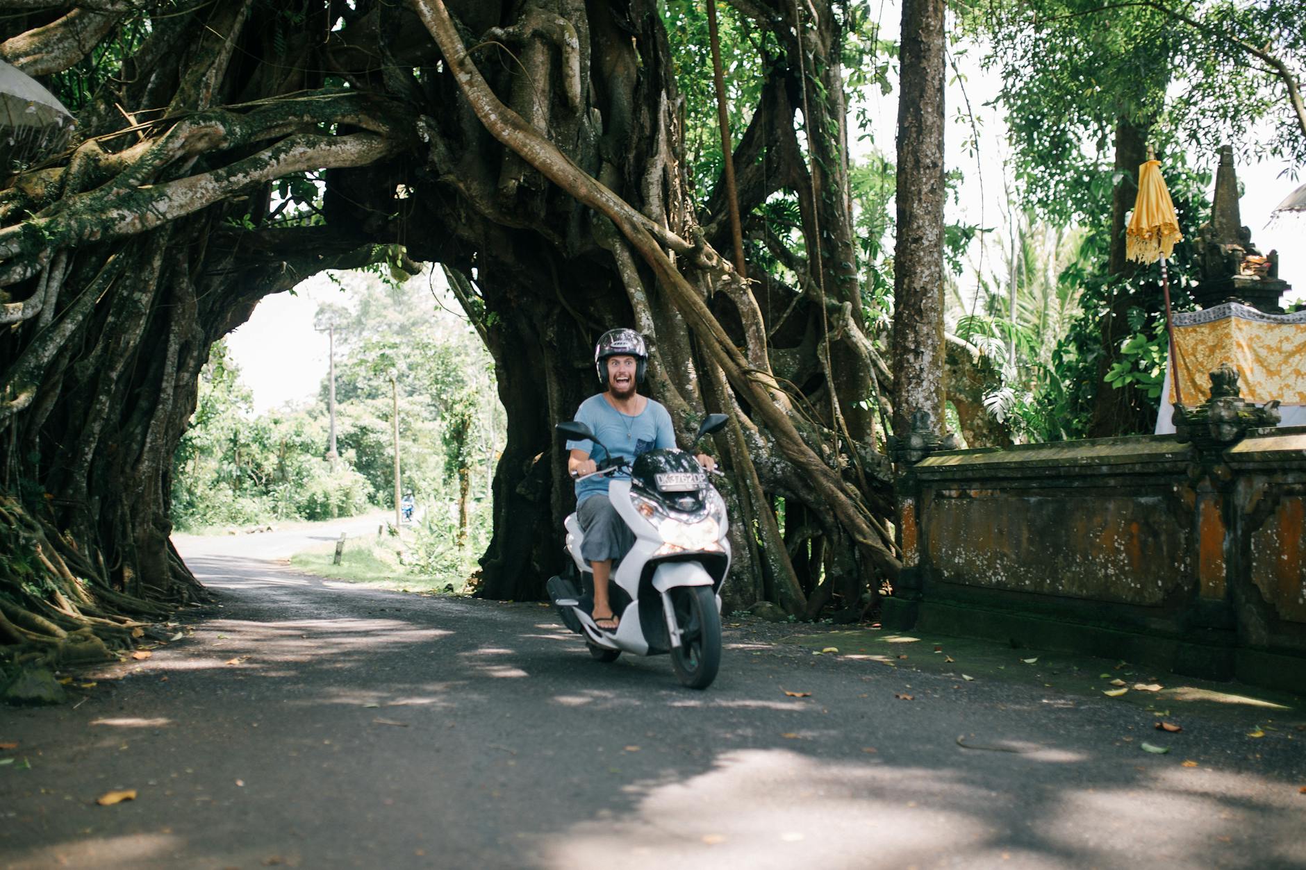 Ubud Bali Custom Tour